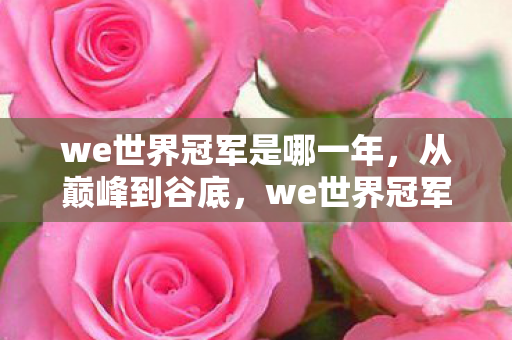 we世界冠军是哪一年，从巅峰到谷底，we世界冠军的落差真相，笑着笑着，我哭了