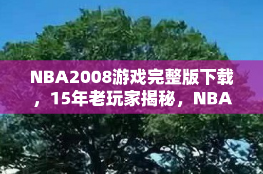 NBA2008游戏完整版下载，15年老玩家揭秘，NBA2008中文版竟藏着3个颠覆认知的真相？