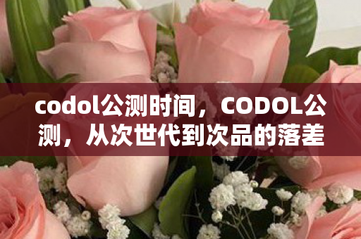 codol公测时间,CODOL公测,从次世代到次品的落差真相,笑着笑着就哭了 codol公测时间,CODOL公测,从次世代到次品的落差真相,笑着笑着就哭了