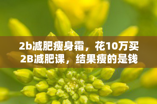2b减肥瘦身霜,花10万买2B减肥课,结果瘦的是钱包!背后隐情让我吓出冷汗 2b减肥瘦身霜,花10万买2B减肥课,结果瘦的是钱包!背后隐情让我吓出冷汗