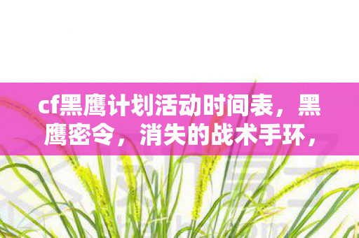 cf黑鹰计划活动时间表,黑鹰密令,消失的战术手环,悬案背后藏着毛骨悚然的玩家轮回 cf黑鹰计划活动时间表,黑鹰密令,消失的战术手环,悬案背后藏着毛骨悚然的玩家轮回
