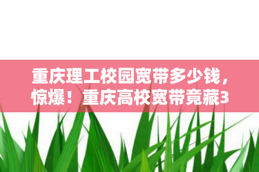 重庆理工校园宽带多少钱，惊爆！重庆高校宽带竟藏3大神操作，学生直呼，这速度绝了？