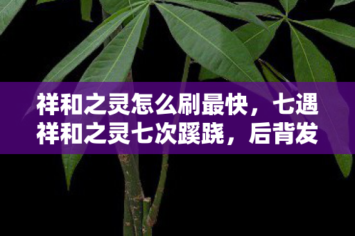 祥和之灵怎么刷最快，七遇祥和之灵七次蹊跷，后背发凉才知被游戏玩透