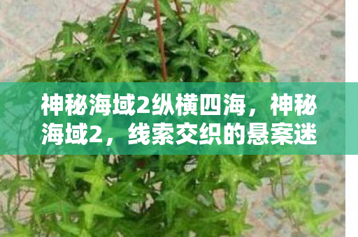 神秘海域2纵横四海，神秘海域2，线索交织的悬案迷局，毛骨悚然真相待揭！