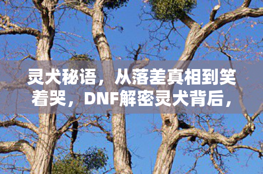 灵犬秘语，从落差真相到笑着哭，DNF解密灵犬背后，我竟成了自己的笑话