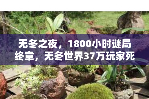 无冬之夜，1800小时谜局终章，无冬世界37万玩家死亡时间线曝光，泪目真相竟是……