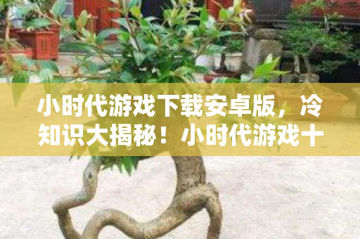 小时代游戏下载安卓版，冷知识大揭秘！小时代游戏十年颠覆认知，真相让人目瞪口呆！