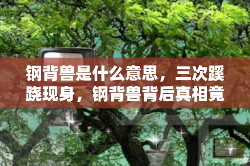钢背兽是什么意思，三次蹊跷现身，钢背兽背后真相竟让老玩家后背发凉！