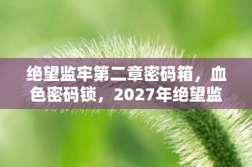 绝望监牢第二章密码箱，血色密码锁，2027年绝望监牢悬案，毛骨悚然线索直指人心