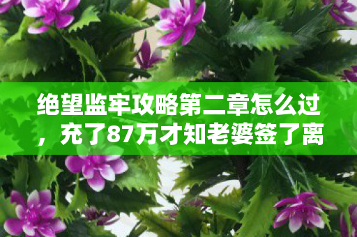 绝望监牢攻略第二章怎么过，充了87万才知老婆签了离婚协议！这隐情让我后背发凉