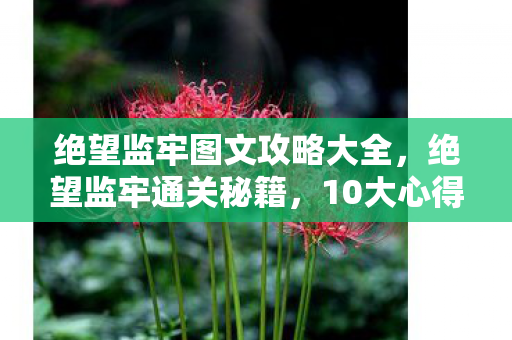 绝望监牢图文攻略大全,绝望监牢通关秘籍,10大心得+避坑指南,助你轻松破局! 绝望监牢图文攻略大全,绝望监牢通关秘籍,10大心得+避坑指南,助你轻松破局!