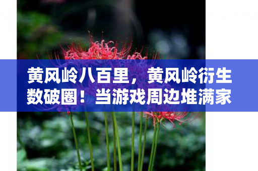 黄风岭八百里，黄风岭衍生数破圈！当游戏周边堆满家，败家玩家开启意想不到人生