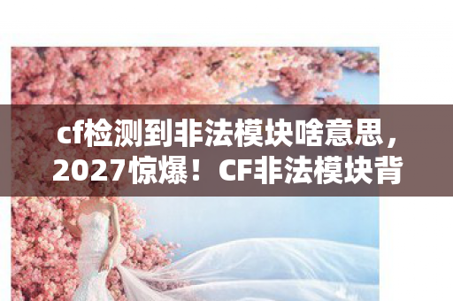 cf检测到非法模块啥意思，2027惊爆！CF非法模块背后，竟藏着一段鼻子一酸的虚拟情缘