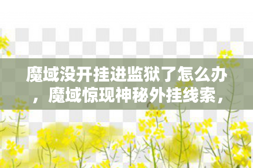 魔域没开挂进监狱了怎么办，魔域惊现神秘外挂线索，悬案背后真相毛骨悚然，谁是真凶？