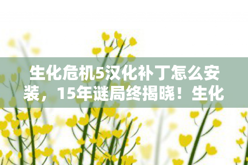 生化危机5汉化补丁怎么安装，15年谜局终揭晓！生化5汉化补丁背后，泪目真相竟藏尸骨堆中