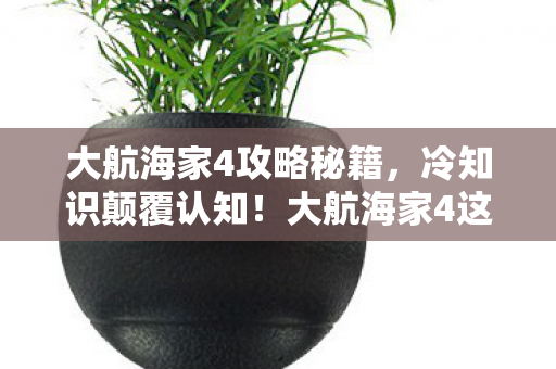 大航海家4攻略秘籍，冷知识颠覆认知！大航海家4这些设计竟让你目瞪口呆