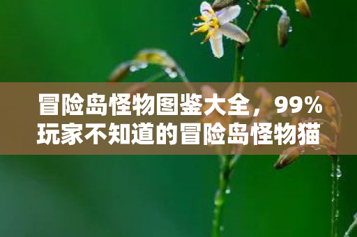 冒险岛怪物图鉴大全，99%玩家不知道的冒险岛怪物猫腻，这3大氪金陷阱让人越玩越上头！