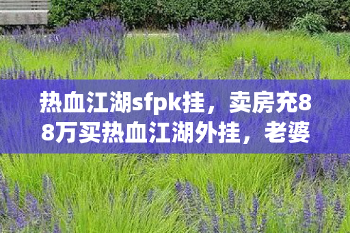 热血江湖sfpk挂，卖房充88万买热血江湖外挂，老婆签离婚协议时我才吓一跳！