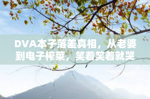 DVA本子落差真相，从老婆到电子榨菜，笑着笑着就哭了