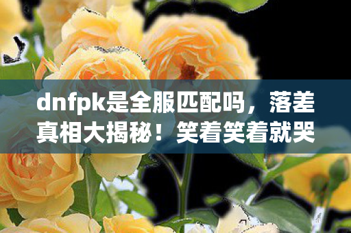 dnfpk是全服匹配吗，落差真相大揭秘！笑着笑着就哭了，dnfpk服竟让我如此上头