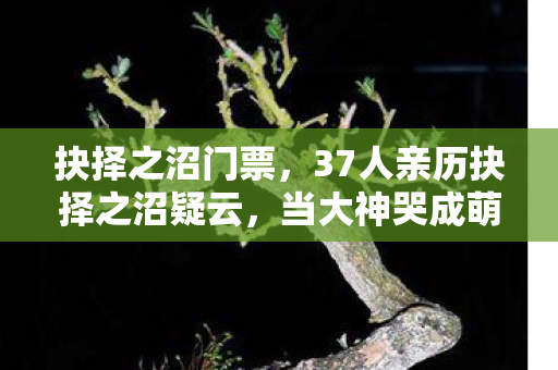 抉择之沼门票，37人亲历抉择之沼疑云，当大神哭成萌新，这破游戏谁绷得住啊！
