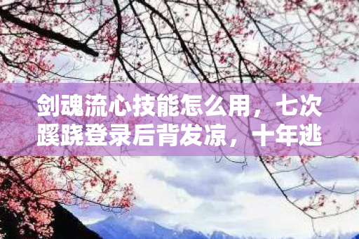 剑魂流心技能怎么用，七次蹊跷登录后背发凉，十年逃亡竟是场荒诞独角戏