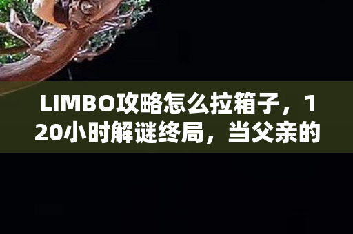 LIMBO攻略怎么拉箱子，120小时解谜终局，当父亲的谜面揭开，玩家集体泪目于limbo的永恒长夜