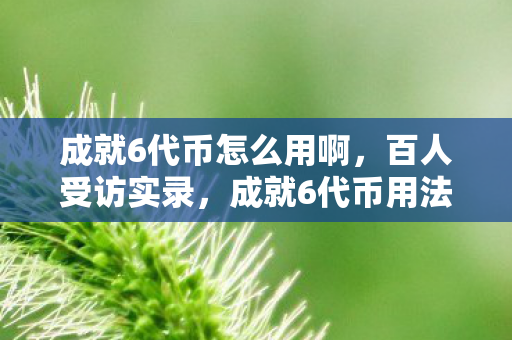 成就6代币怎么用啊，百人受访实录，成就6代币用法成谜，网吧众生相绷不住了！
