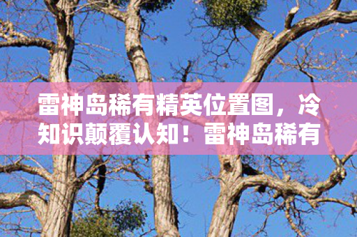 雷神岛稀有精英位置图,冷知识颠覆认知!雷神岛稀有怪背后,竟藏着让你目瞪口呆的秘密 雷神岛稀有精英位置图,冷知识颠覆认知!雷神岛稀有怪背后,竟藏着让你目瞪口呆的秘密