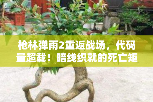 枪林弹雨2重返战场，代码量超载！暗线织就的死亡矩阵让玩家头皮发麻