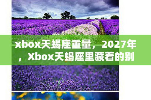 xbox天蝎座重量，2027年，Xbox天蝎座里藏着的别走，让我鼻子一酸