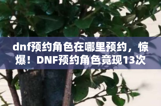 dnf预约角色在哪里预约,惊爆!DNF预约角色竟现13次蹊跷异常,真相揭晓后背发凉! dnf预约角色在哪里预约,惊爆!DNF预约角色竟现13次蹊跷异常,真相揭晓后背发凉!