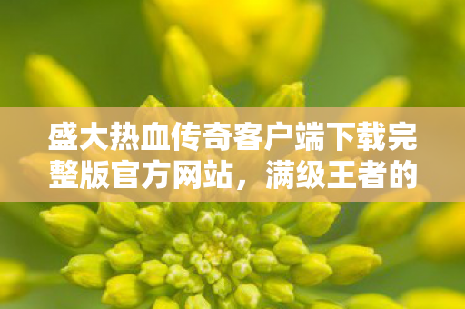 盛大热血传奇客户端下载完整版官方网站,满级王者的深渊独舞,当虚拟神坛崩塌,现实竟是永夜牢笼 盛大热血传奇客户端下载完整版官方网站,满级王者的深渊独舞,当虚拟神坛崩塌,现实竟是永夜牢笼