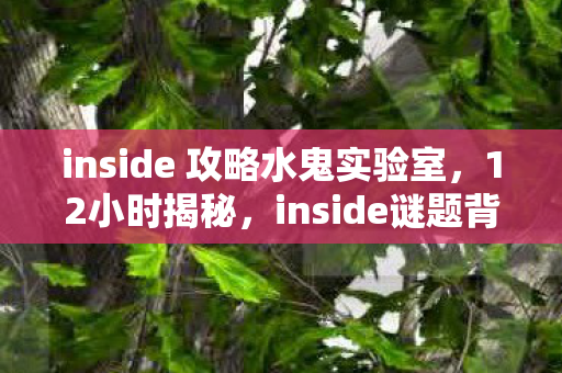 inside 攻略水鬼实验室，12小时揭秘，inside谜题背后的孤独征程，泪目真相终现