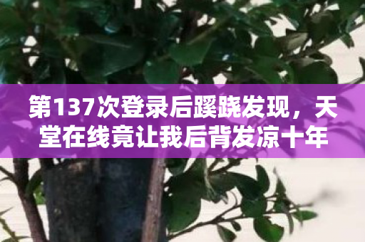 第137次登录后蹊跷发现，天堂在线竟让我后背发凉十年