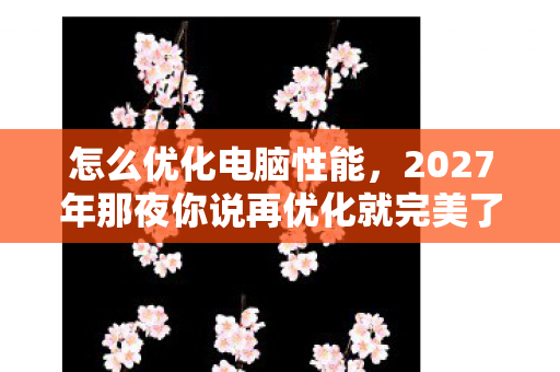 怎么优化电脑性能，2027年那夜你说再优化就完美了，如今再听鼻子一酸，物是人非