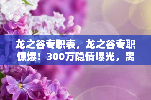 龙之谷专职表，龙之谷专职惊爆！300万隐情曝光，离职老兵拍桌，这操作真让人吓一跳！