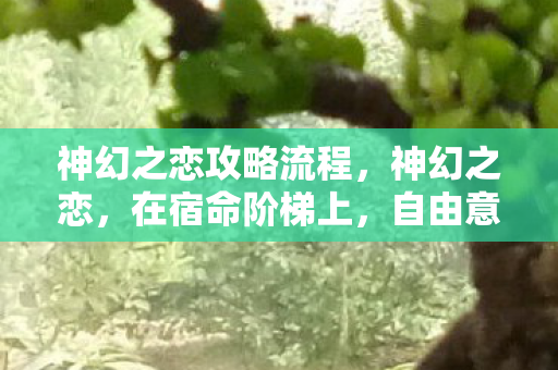 神幻之恋攻略流程,神幻之恋,在宿命阶梯上,自由意志如何撕裂灵魂的震颤? 神幻之恋攻略流程,神幻之恋,在宿命阶梯上,自由意志如何撕裂灵魂的震颤?