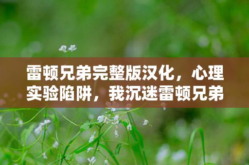 雷顿兄弟完整版汉化，心理实验陷阱，我沉迷雷顿兄弟三年，细思极恐的自我操控