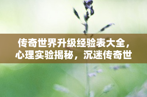 传奇世界升级经验表大全，心理实验揭秘，沉迷传奇世界升级，细思极恐的自我麻醉
