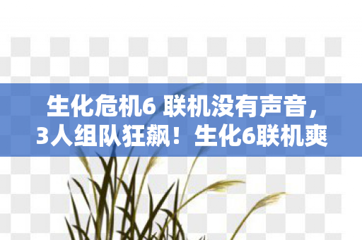 生化危机6 联机没有声音,3人组队狂飙!生化6联机爽到头皮发麻的5个神操作 生化危机6 联机没有声音,3人组队狂飙!生化6联机爽到头皮发麻的5个神操作