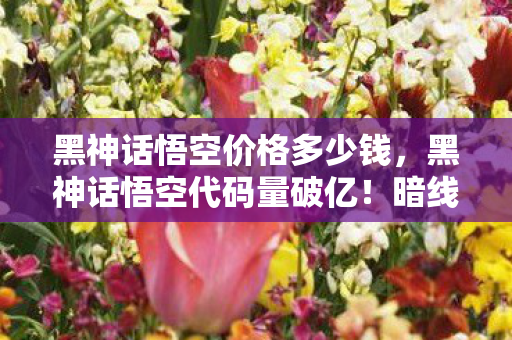 黑神话悟空价格多少钱，黑神话悟空代码量破亿！暗线揭秘，这数字让我头皮发麻的帮派人生
