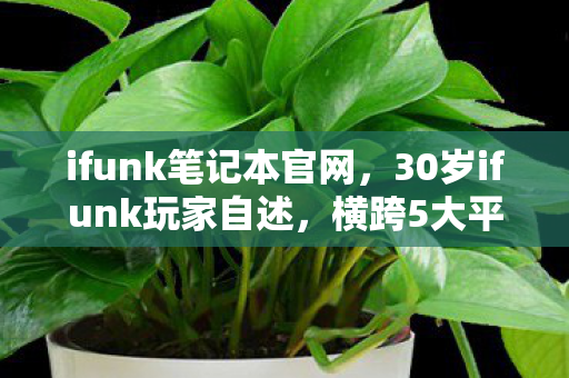 ifunk笔记本官网，30岁ifunk玩家自述，横跨5大平台，为何总在深夜卸载游戏？