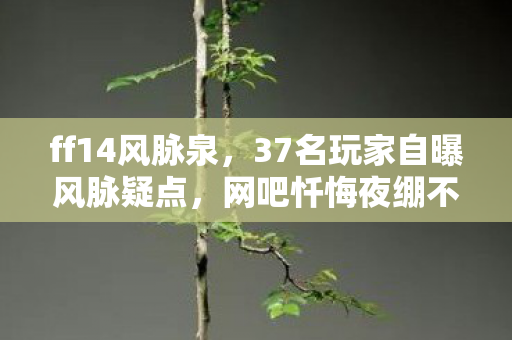 ff14风脉泉，37名玩家自曝风脉疑点，网吧忏悔夜绷不住集体破防！