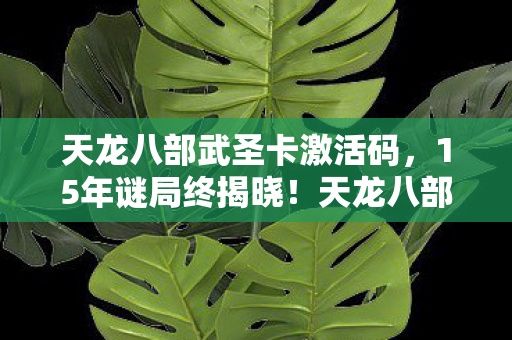天龙八部武圣卡激活码,15年谜局终揭晓!天龙八部武圣卡,一张卡牌承载的江湖泪目史 天龙八部武圣卡激活码,15年谜局终揭晓!天龙八部武圣卡,一张卡牌承载的江湖泪目史