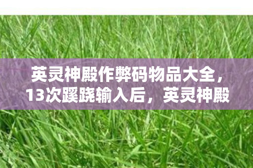 英灵神殿作弊码物品大全，13次蹊跷输入后，英灵神殿作弊码竟让我的后背发凉到2027年