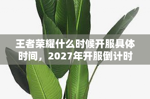 王者荣耀什么时候开服具体时间,2027年开服倒计时!玩了8年该退坑还是再战?老玩家心声炸裂 王者荣耀什么时候开服具体时间,2027年开服倒计时!玩了8年该退坑还是再战?老玩家心声炸裂