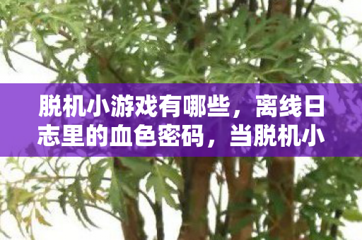 脱机小游戏有哪些，离线日志里的血色密码，当脱机小游戏成为完美犯罪现场