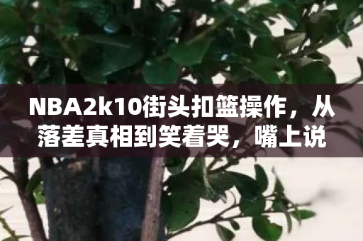 NBA2k10街头扣篮操作，从落差真相到笑着哭，嘴上说退坑，手却诚实地打开NBA2K10