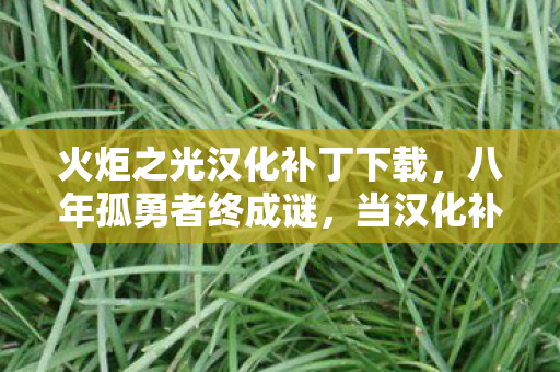 火炬之光汉化补丁下载，八年孤勇者终成谜，当汉化补丁失效时，谁在泪目？